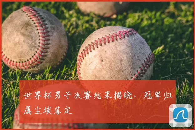 世界杯男子决赛结果揭晓,冠军归属尘埃落定
