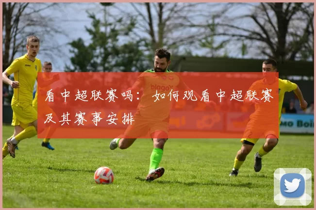 看中超联赛吗：如何观看中超联赛及其赛事安排