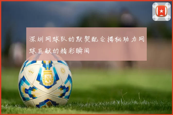 深圳网球队的默契配合揭秘助力网球巨献的精彩瞬间