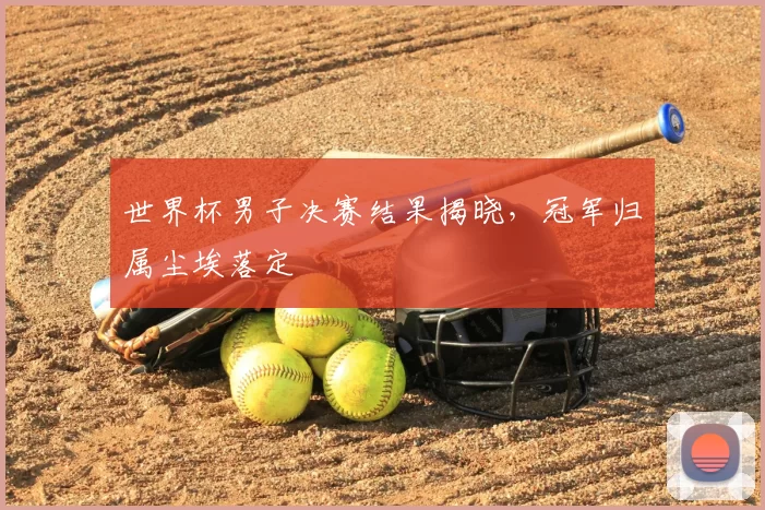 世界杯男子决赛结果揭晓,冠军归属尘埃落定