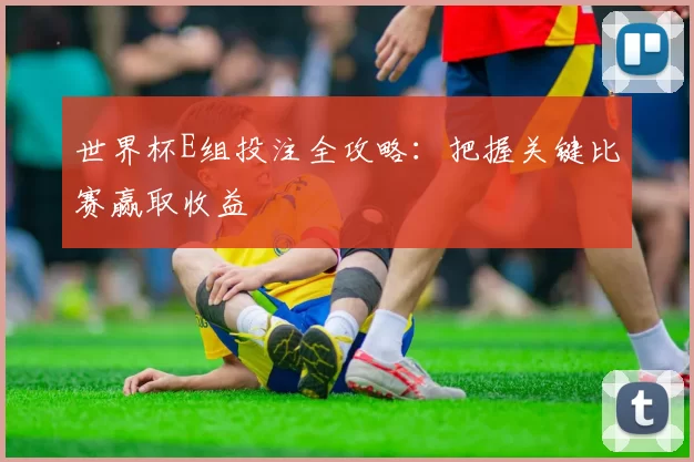 世界杯E组投注全攻略:把握关键比赛赢取收益
