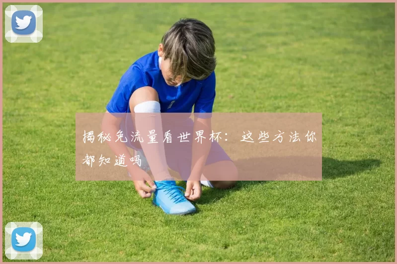 揭秘免流量看世界杯：这些方法你都知道吗