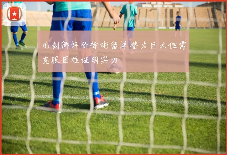 毛剑卿评价徐彬留洋潜力巨大但需克服困难证明实力