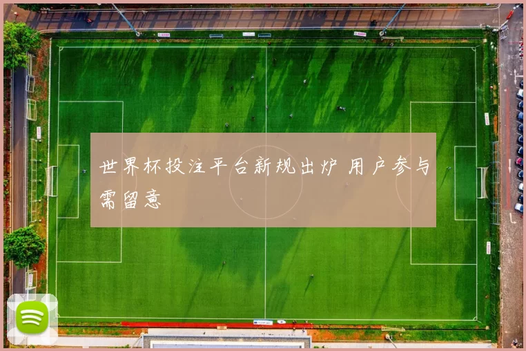世界杯投注平台新规出炉 用户参与需留意