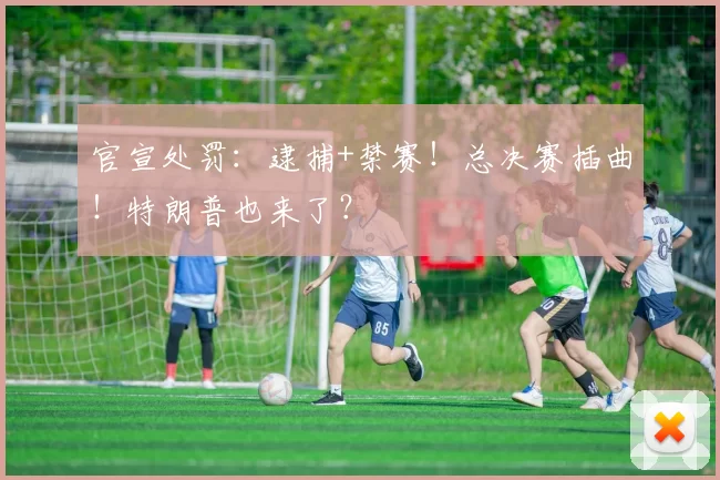 官宣处罚：逮捕+禁赛！总决赛插曲！特朗普也来了？