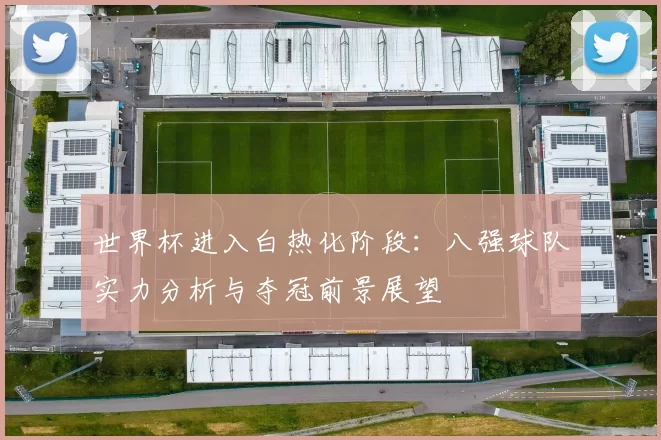 世界杯进入白热化阶段：八强球队实力分析与夺冠前景展望