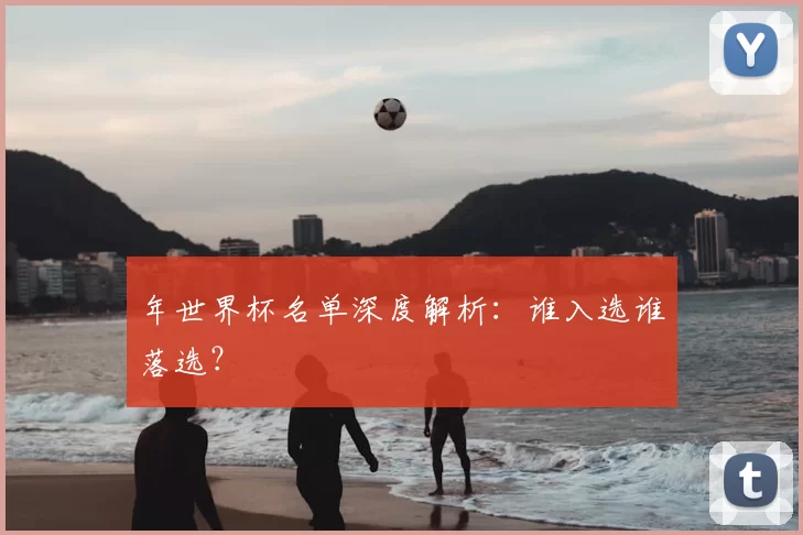 年世界杯名单深度解析:谁入选谁落选?