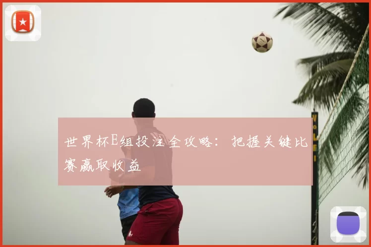 世界杯E组投注全攻略：把握关键比赛赢取收益
