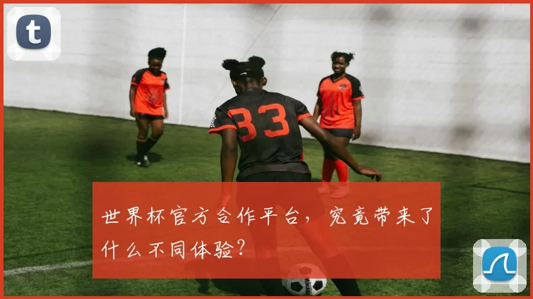 世界杯官方合作平台,究竟带来了什么不同体验?