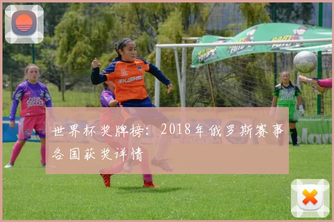 世界杯奖牌榜:2018年俄罗斯赛事各国获奖详情