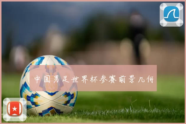中国男足世界杯参赛前景几何