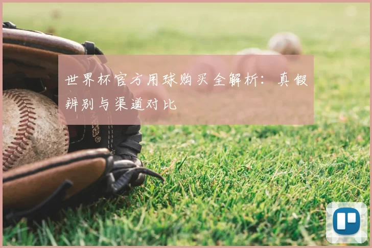 世界杯官方用球购买全解析：真假辨别与渠道对比