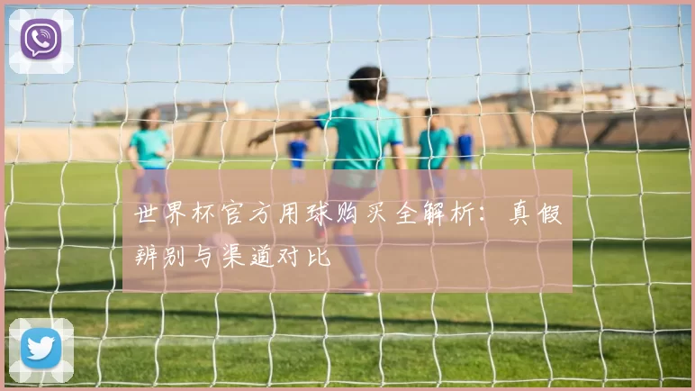 世界杯官方用球购买全解析：真假辨别与渠道对比