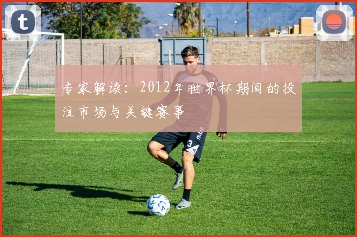 专家解读:2012年世界杯期间的投注市场与关键赛事