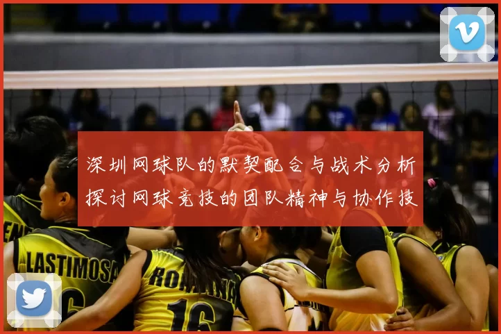 深圳网球队的默契配合与战术分析探讨网球竞技的团队精神与协作技巧