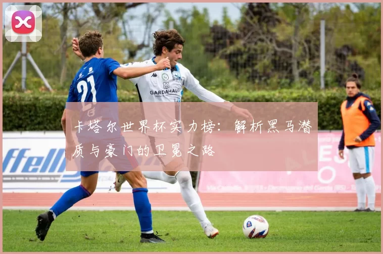 卡塔尔世界杯实力榜:解析黑马潜质与豪门的卫冕之路