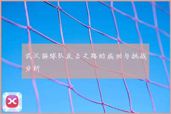 武汉排球队反击之路的成功与挑战分析