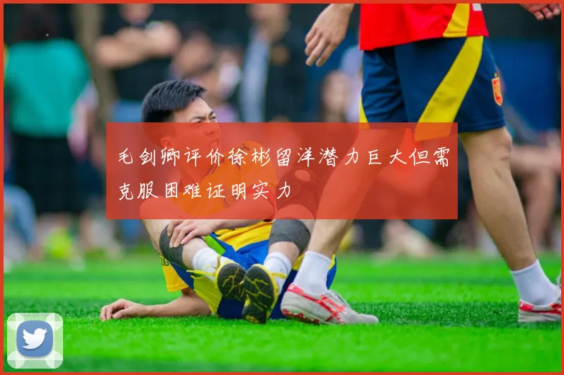 毛剑卿评价徐彬留洋潜力巨大但需克服困难证明实力