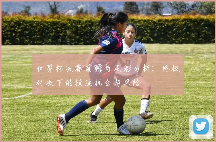 世界杯决赛前瞻与足彩分析:终极对决下的投注机会与风险