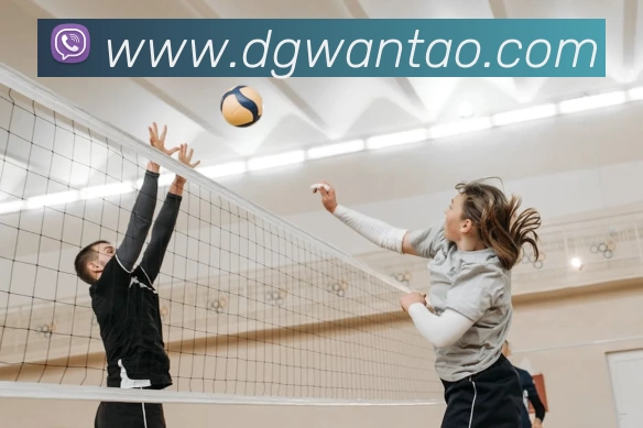 爱游戏品牌故事