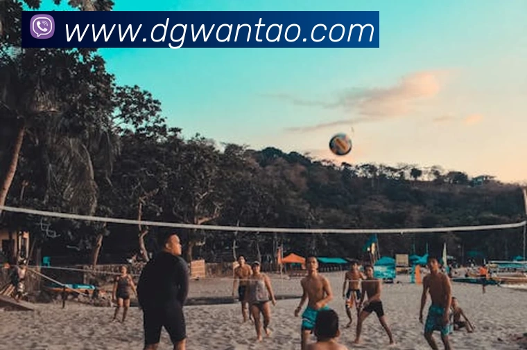 爱游戏服务体系